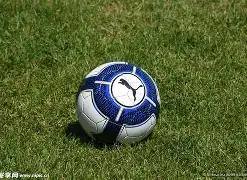 费欧战,五五开战绩,引人注目,香港赛马,香港赛马场,赛马活动,马术资讯